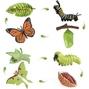 SIENON 4pcs Butterfly Life Cycle Toy Figurines and 4pcs Actias Ningpoana Figure-Plastic Caterpillar to Monarch Butterfly Growth Cycle Toy Insect Figures Teaching Tools School Project for Kids