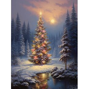 SKRYUIE Paint by Numbers Kit for Adults Beginner Christmas, Acrylic Oil Painting by Numbers Kits with PaintBrushes Paintwork Art Canvas for Home Decor 16x20 inch / 40x50 cm B1120