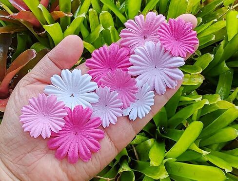 HukDok Daisy Petals Mulberry Paper Flowers Handmade for DIY Crafts Supplies Card Scrapbooking Embellishment,Wedding Supply Accessory (Pastel Colors) in Kuwait
