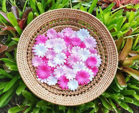 HukDok Daisy Petals Mulberry Paper Flowers Handmade for DIY Crafts Supplies Card Scrapbooking Embellishment,Wedding Supply Accessory (Pastel Colors) in Kuwait