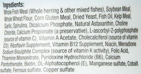 Aqueon Goldfish Granules in Saudi Arabia