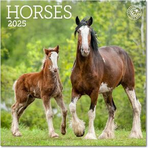 Horses Mini Wall Calendar 2025, 7" x 7"