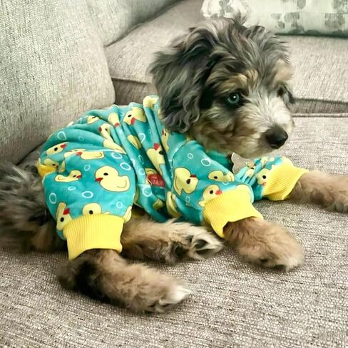 KYEESE Velvet Dog Pajamas for Medium Large Dogs Soft Onesie, Yellow Duck in Saudi Arabia