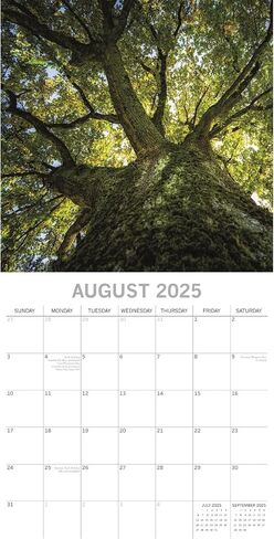 The Gifted Stationary 2025 Square Wall Calendar, Woodland Scenes, 16-Month Natural World Theme Hanging Calendar with 180 Reminder Stickers, Month Planner for Home, or Creative Spaces, 12x12 In in Saudi Arabia