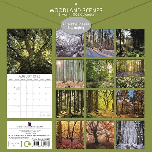 The Gifted Stationary 2025 Square Wall Calendar, Woodland Scenes, 16-Month Natural World Theme Hanging Calendar with 180 Reminder Stickers, Month Planner for Home, or Creative Spaces, 12x12 In in Saudi Arabia