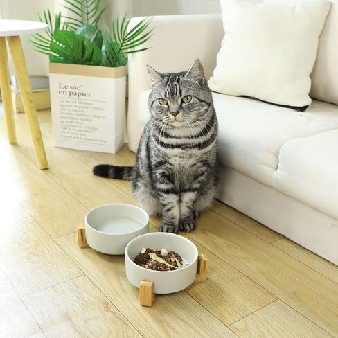 Nepfaivy Puppy Bowls for Small Dogs - Ceramic Dog Food and Water Bowl Set, 5"D x 1.97"H, 13.5oz Weighted Cat Food Bowls, Heavy Dog Dishes for Small Dogs, Pet Feeding Station for Dogs and Indoor Cats in Saudi Arabia