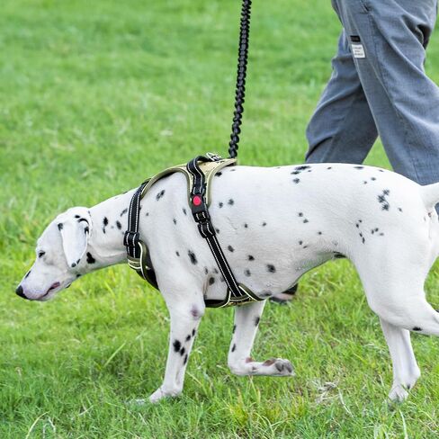 Dog Harness and Leash Set,No Pull Dog Harness,Adjustable Soft Padded Pet Vest with Easy Control Handle for Small Medium Large Dogs (Forest Camo,L) in Saudi Arabia