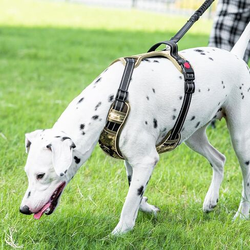 Dog Harness and Leash Set,No Pull Dog Harness,Adjustable Soft Padded Pet Vest with Easy Control Handle for Small Medium Large Dogs (Forest Camo,L) in Saudi Arabia