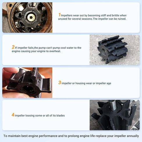 Pindex دفاعة مضخة مياه مناسبة لياماها 6HP 8HP خارجي 6G1-44352-00 سييرا 18-3066 CEF 500302 in Kuwait