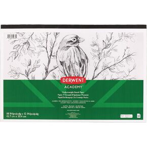 Derwent Academy Sketch Paper Pad, 50 Sheets, 18" x 12", Mediumweight (54974)