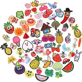 61 PCS Iron On Patches Child Friendly Fixed Combination Embroidered Patches for Clothes, Backpacks, Hats, Embroidery Sew On Patches