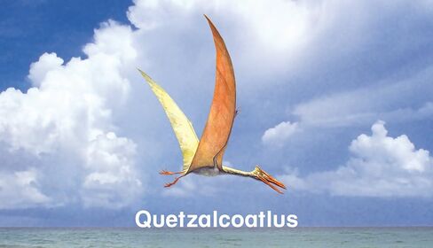 Dinosaur Flash Cards with Fun Facts and Pronunciation Keys for Each Dinosaur in Saudi Arabia