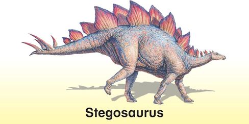 Dinosaur Flash Cards with Fun Facts and Pronunciation Keys for Each Dinosaur in Saudi Arabia