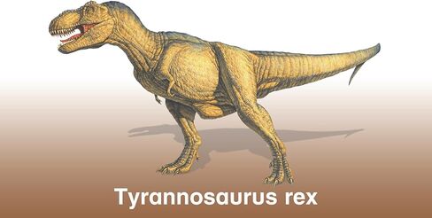 Dinosaur Flash Cards with Fun Facts and Pronunciation Keys for Each Dinosaur in Saudi Arabia