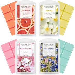 SCENTORINI Wax Melts Wax Cubes, Scented Wax Melts Summer Wax Melts Soy Wax Melts Natural Candle Wax Cubes for Wax Warmer 4 Pack- Ocean Breeze, Vanilla Coconut, Cinnamon, Lavender