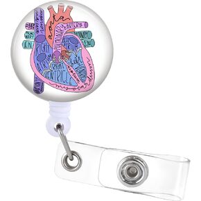 Jupswan Badge Reels Holder Retractable with ID Clip for Nurse Name Tag Card OB L&D NICU OBGYN Gynecology Nursing Doctor Teacher Student Labor and Delivery Medical MD Work Office Alligator Clip ZJK347