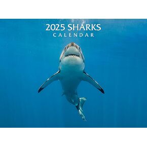 2025 Sharks Wall Calendar