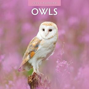Red Robin 2025 Owls Monthly Wall Calendar | 12" x 24" Open | Premium Thick & Sturdy Paper | Hangable 12 Month Calendar | Plastic Free | 4 Month Transition Page for 2024