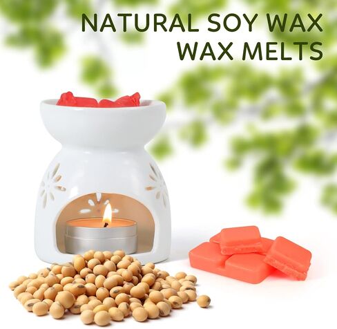 SCENTORINI Wax Melts Wax Cubes, Scented Wax Melts Summer Wax Melts Soy Wax Melts Natural Candle Wax Cubes for Wax Warmer 4 Pack- Ocean Breeze, Vanilla Coconut, Cinnamon, Lavender in Saudi Arabia