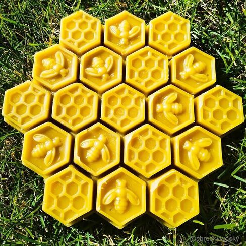 19 تجاويف قوالب كعك على شكل قرص العسل من السيليكون قوالب صنع الصابون قوالب حلوى قابلة للفصل قوالب كعك الخبز والحلوى in Kuwait