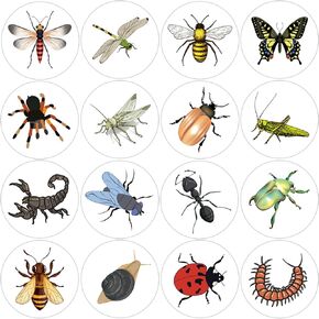 600Pcs Round Insect Stickers Roll 1.5 Inch Insect Label Stickers for Kids Party Favors Teacher Reward Encouragement Motivational Stickers