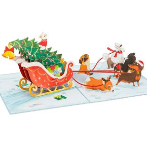 Christmas Dogs Sledding Pop Up Card, Snow, Pine Tree, Christmas Gifts, Funny 3D Greeting Card, Ideal Gift for Dog Fan, Kid, Boy, Girl, Sister, Brother, Friend, Family, 5x7