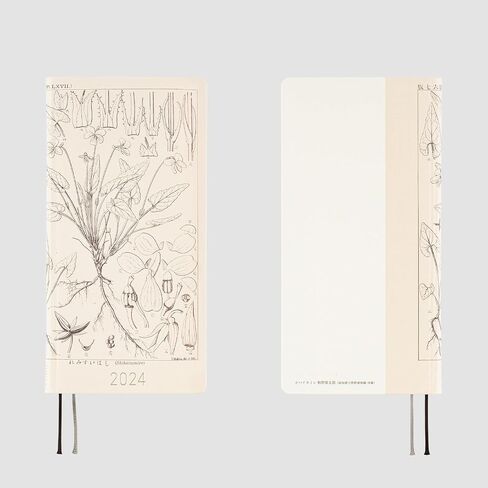 Hobonichi Techo 2024 Weeks [Japanese/Weekly Monthly Planner/Tall and Slim Size/April Start] Tomitaro Makino: Shihai Sumire in Saudi Arabia