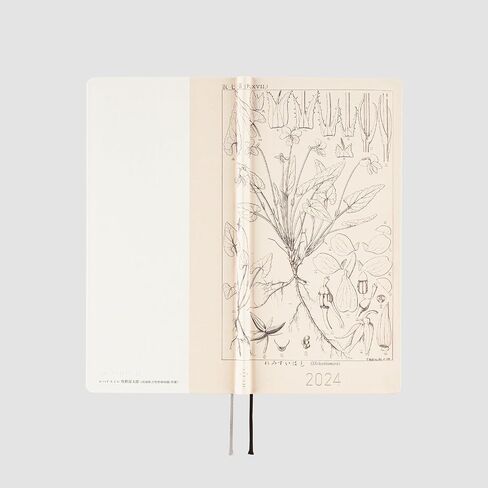 Hobonichi Techo 2024 Weeks [Japanese/Weekly Monthly Planner/Tall and Slim Size/April Start] Tomitaro Makino: Shihai Sumire in Saudi Arabia