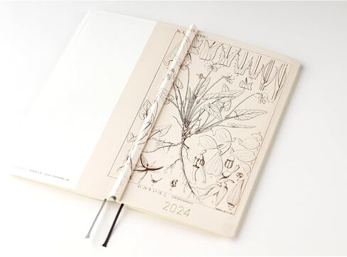 Hobonichi Techo 2024 Weeks [Japanese/Weekly Monthly Planner/Tall and Slim Size/April Start] Tomitaro Makino: Shihai Sumire in Saudi Arabia