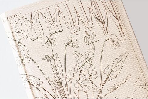 Hobonichi Techo 2024 Weeks [Japanese/Weekly Monthly Planner/Tall and Slim Size/April Start] Tomitaro Makino: Shihai Sumire in Saudi Arabia
