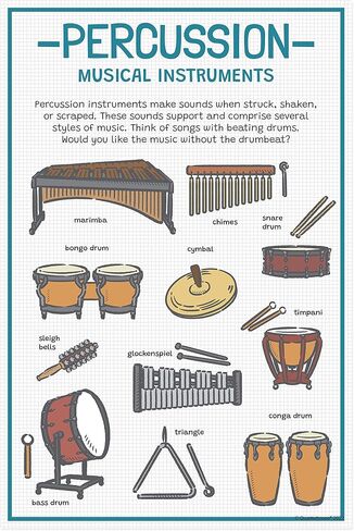 Quarterhouse Instrument Families Poster Set, Music Classroom Learning Materials for K-12 Students and Teachers, Set of 5, 12 x 18 Inches, Extra Durable in Kuwait