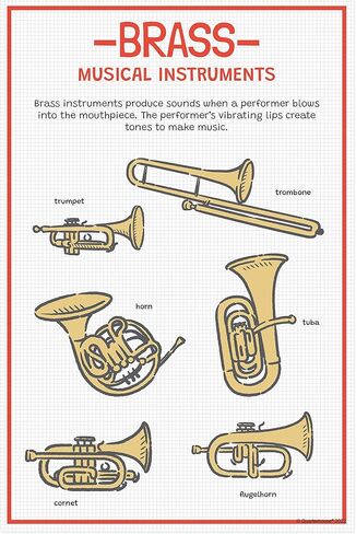 Quarterhouse Instrument Families Poster Set, Music Classroom Learning Materials for K-12 Students and Teachers, Set of 5, 12 x 18 Inches, Extra Durable in Kuwait