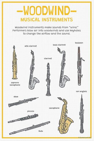 Quarterhouse Instrument Families Poster Set, Music Classroom Learning Materials for K-12 Students and Teachers, Set of 5, 12 x 18 Inches, Extra Durable in Kuwait