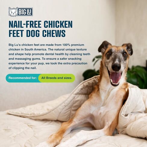 Big Lu – Nail-Free Chicken Feet Dog Chews, 100% Natural Dog Treats with Single Ingredient, Long Lasting and Rich in Glucosamine and Chondroitin for Joint Health, No Nails Dog Snacks (60 Chews) in Saudi Arabia