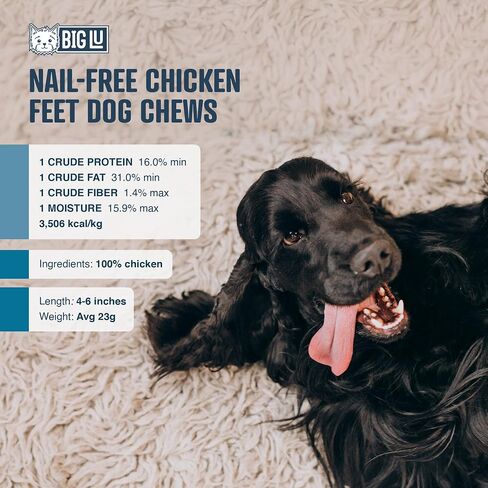 Big Lu – Nail-Free Chicken Feet Dog Chews, 100% Natural Dog Treats with Single Ingredient, Long Lasting and Rich in Glucosamine and Chondroitin for Joint Health, No Nails Dog Snacks (60 Chews) in Saudi Arabia