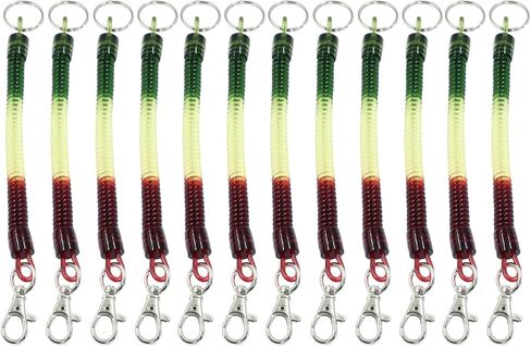 4 Pcs Retractable Coil Spring Keychain Colorful Spiral Coil Cord Keychain Holder with Key Ring & Lobster Clasp, Spiral Lanyard Cord for Keys Wallet Cellphone, Blue & Green in Kuwait