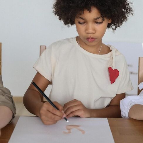 UNIMEIX فرشاة جافة للرسم المصغر مجموعة الرسم المصغر الجاف هواية مزج التفاصيل للرسم المصغر بدون جهد (6 رأس مستدير + 6 رأس مائل) in Kuwait