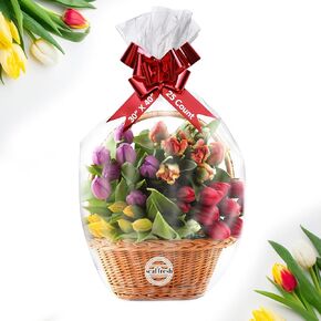 Extra Large Cellophane Bags – 12" x 18" (25 Count) – Clear Basket Wrapping Bags, Cellophane Gift Bags, Clear Gift Bags, Cellophane Bag, Basket Bags, Plastic Bags, Cellophane Wrap