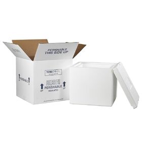 Aviditi Insulated Carton with Foam Shipping Kit, 12" x 12" x 11 1/2", White, For Shipping Temperature Sensitive Items (1 Kit)