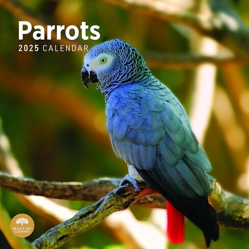 تقويم جداري شهري للببغاوات لعام 2025 من برايت داي، هدية تصوير طبيعية لطيفة مقاس 12 × 12 بوصة in Kuwait