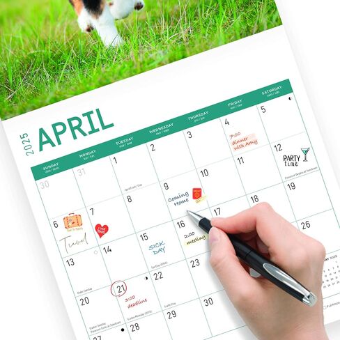 2025 Australian Shepherds Monthly Wall Calendar by Bright Day, 12 x 12 Inch Cute Dog Breed Gift in Saudi Arabia