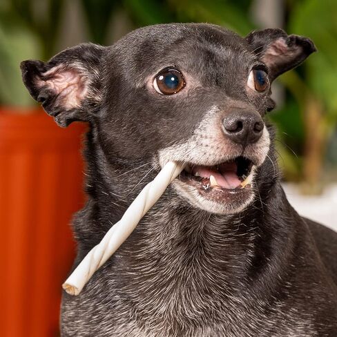 Pet Factory American Beefhide 5" Twist Sticks Dog Chew Treats - Natural Flavor, 10 Count/1 Pack in Kuwait