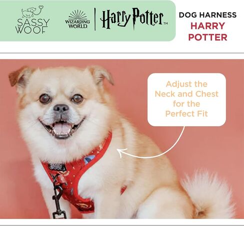 Dog Collar Harry Potter™ - S, Adjustable, Durable, Comfortable and Stylish Pet Accessories for Small Dogs - Officially Licensed in Kuwait