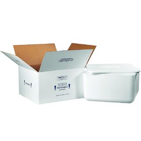 Boxes Fast BF250C Insulated Shipping Box with Foam Container, 17" x 17" x 9", Medium, White