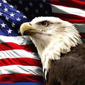 ARAZADR Stamped Cross Stitch Painting- Eagle Pattern for Beginners Kids and Adults American Flag Paint 3 Strands 11CT Embroidery Cross Stitch Starter Kits Perfect for Home Wall Decor 11.81×11.81Inch