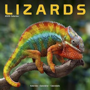 2025 Lizards Wall Calendar, 12X12, Avonside Publishing