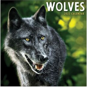TF PUBLISHING 2025 Wolves Wall Calendar - Large Grids for Appointments and Scheduling - Vertical Monthly Wall Calendar 2025 - Home and Office Organization - Premium Gloss Paper - 12"x12"