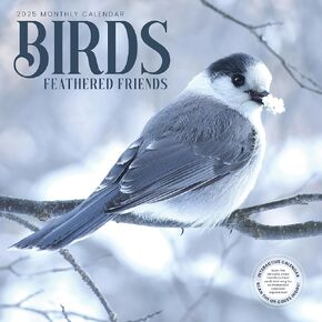 Bird Wall Calendar 2025 | 12" x 24" Birds: Feathered Friends 12 Month | Marble City Press | Backyard Ornithologist Garden Songbird | Bird Migration Map Educational QR Codes | 2024-2025 Calendar