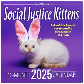 Social Justice Kittens 2025 Calendar