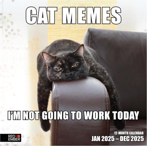 تقويم حائط RED EMBER Cat Memes 2025 لمدة 12 شهرًا | 12 بوصة × 24 بوصة مفتوح | ورق سميك وقوي | هدية | التقويم 2025 in Kuwait
